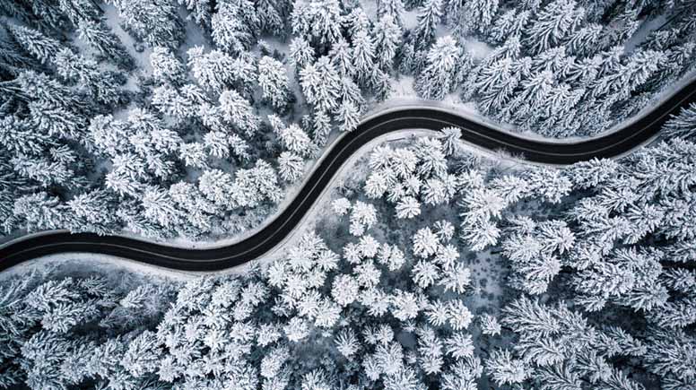 Luminen metsä ja jäinen tie