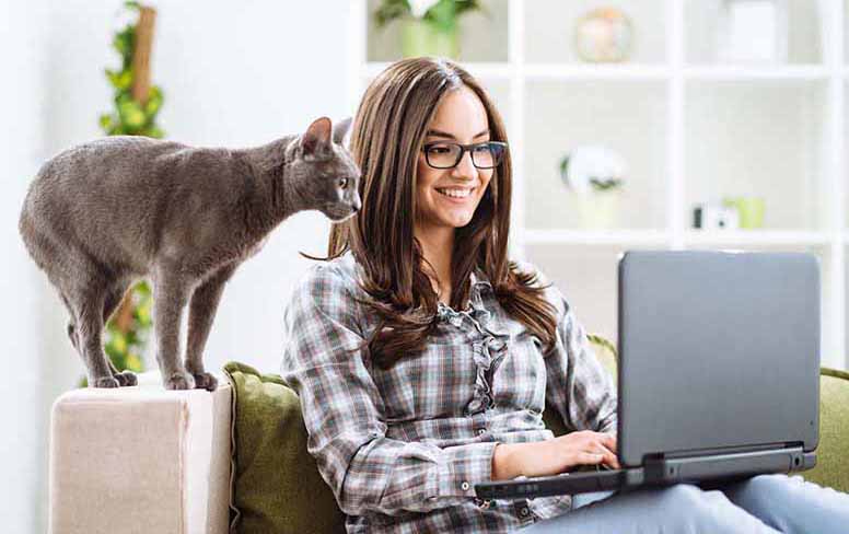 Kissa ja nainen katsovat yhdessä tietokonetta