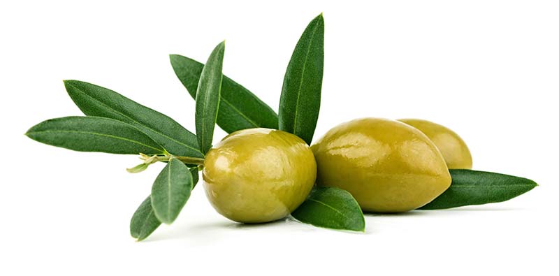 Oliiviöljyä tuliaisiksi Kreetalta