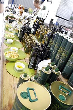 Vassilakisin tilalla maistellaan oliiviöljyä. Kuva Kirsti Sergejeff