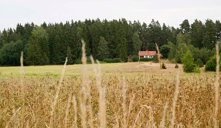 Omakotitalo on tyhjillään – onko siitä maksettava korotettua kiinteistöveroa?