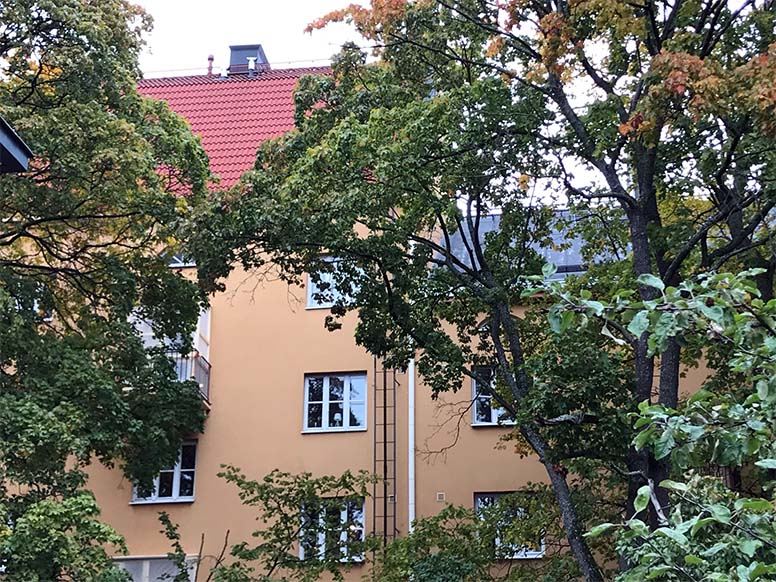 Kerrostalo ja puita Vallilassa