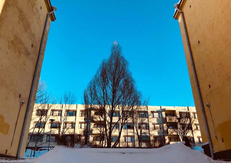 Asuntolaina harkinnassa – suosituin viitekorko on euribor