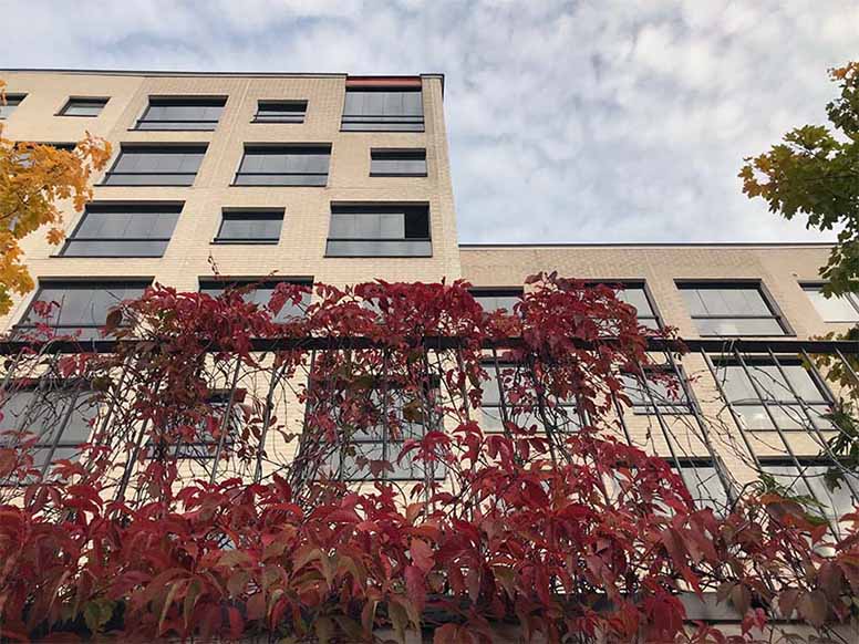 Kerrostaloja ja ruskaa Vallilassa