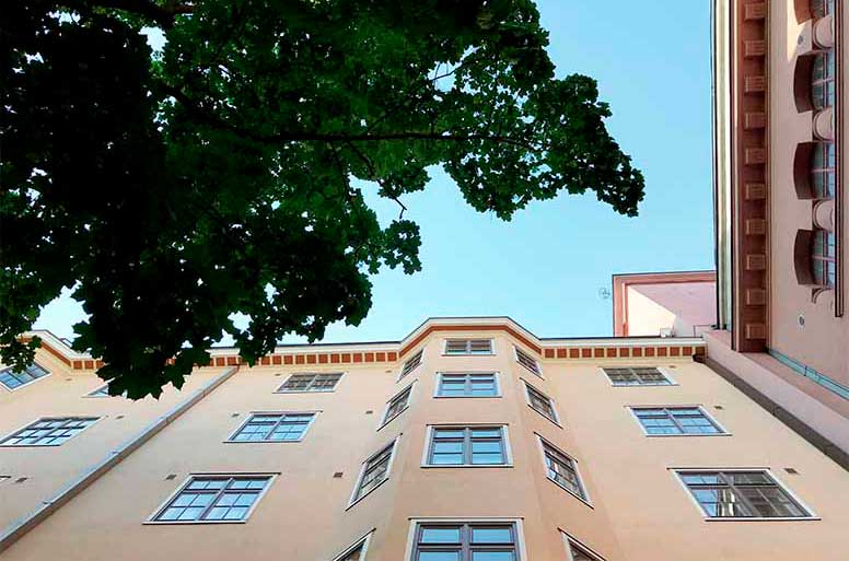 Keltainen kerrostalo ja puu Punavuori Helsinki