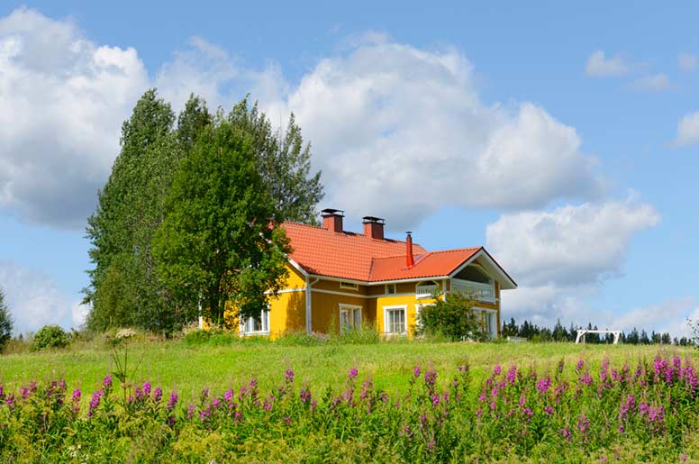 Koivuja ja keltainen kesämökki