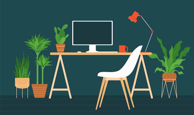 Koti, viherkasveja, tuoleja, pöytä