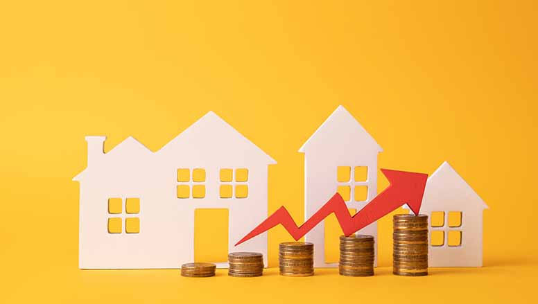 Nuoli, taloja, rahaa