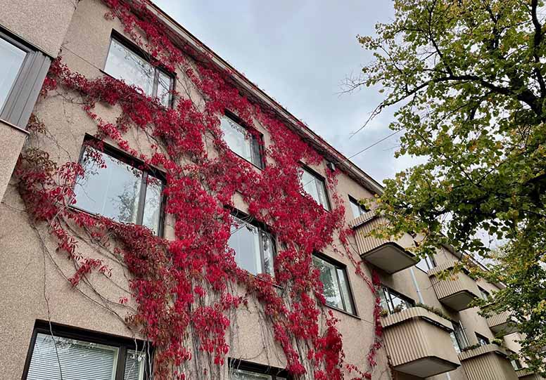 Kerrostalo Töölössä, ruska, syksy