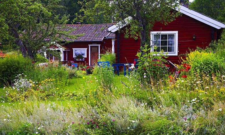 Kesämökin villi puutarha