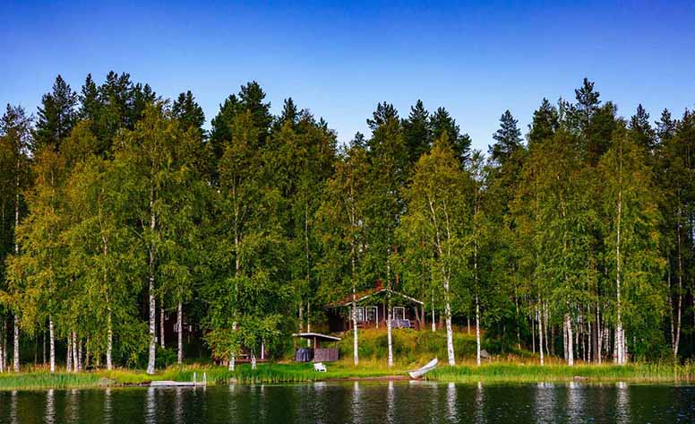 Kesämökki, järvi,  kesä, metsä