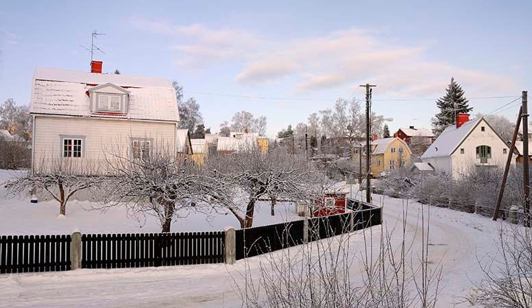 Omakotitaloja ja talvisia puutarhoja, tiellä on lunta, pakkanen