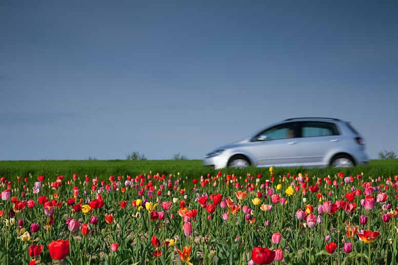 Auto ajaa kesäisessä maisemassa