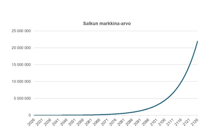 salkun markkina-arvo.jpg