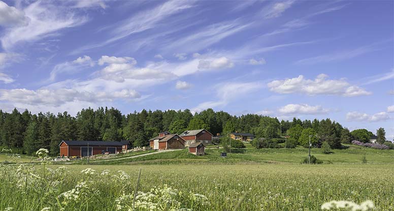 Maatila, kesä, heinäpelto