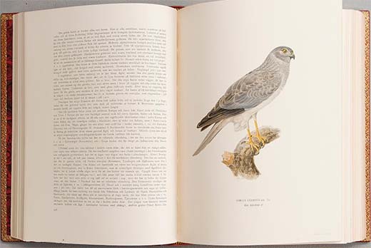 Bukowskin Helsingin huutokaupassa myytiin toukokuussa tunnettu kolmiosainen kirjasarja Svenska fåglar (von Wright, M,W & F,) käsinväritettynä bibliofiilipainoksena  nr 5 vuodelta 1925. Kirjoissa oli tallella suojakuoret. Huutajia oli vain kaksi, mutta kirjoista maksettiin huutomaksuineen noin 5 500 euroa.
