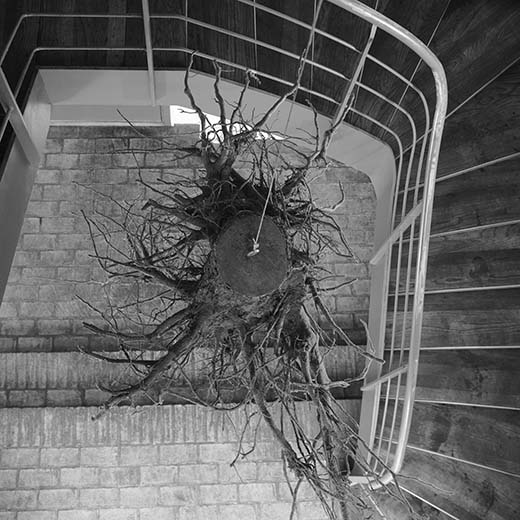 Puun juurakko käy hyvänä esimerkkinä pohjoismaisesta designista, josta usein sanotaan, että se on ammentanut elinvoimaansa Pohjolan luonnosta. Tämä ”juurakkoveistos” on ollut koristeena kööpenhaminalaisravintola Nomassa, ja nyt se on siis tulossa Wrightin huutokauppaan Chicagossa. Arviohinta on 1 000–1 500 euroa. Juurakko ei ihan pieneen tilaan edes mahdu, sillä sen mitat ovat 234x127x91 cm.