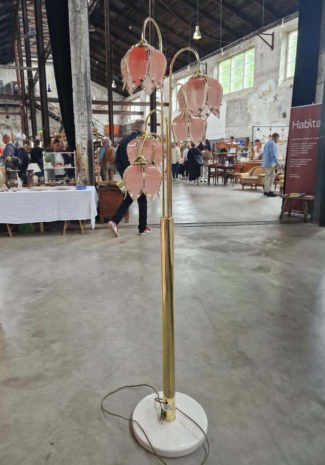 Kissankellovalaisin Kuva: Sesanne Oy