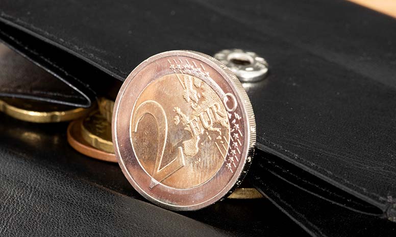 Rahapula, kahden euron kolikko, lompakko