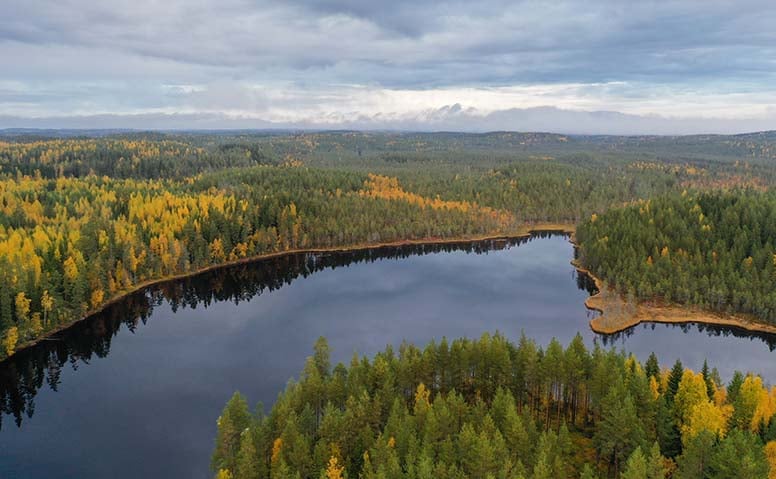 Miten hallintaoikeus vaikuttaa lasten saamien lahjojen arvoon?