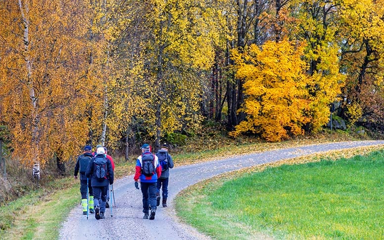 Suomen eläkehallinto maailman luotettavin – kokonais­vertailussa sijoitus laski
