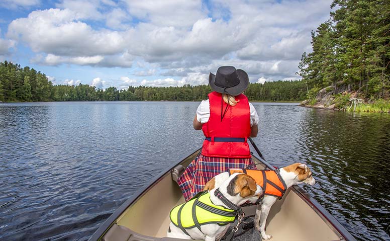 Pätkiikö mökkinetti? Kokeile näitä helppoja keinoja