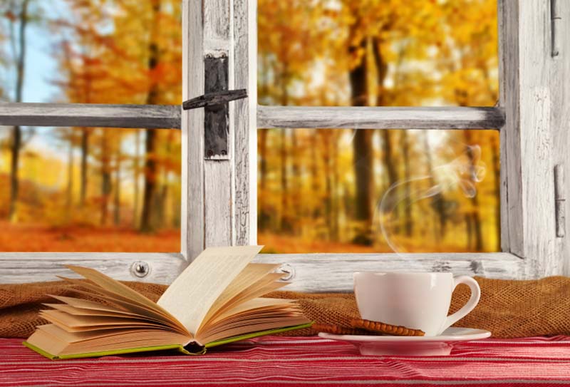 Kesämökki, kirja ja syksy