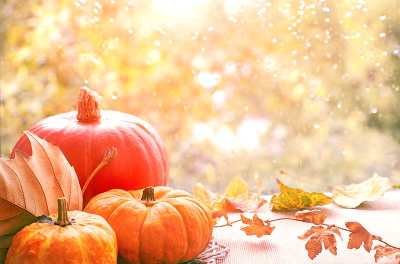 Syksy, kurpitsat ja vaahteranlehdet