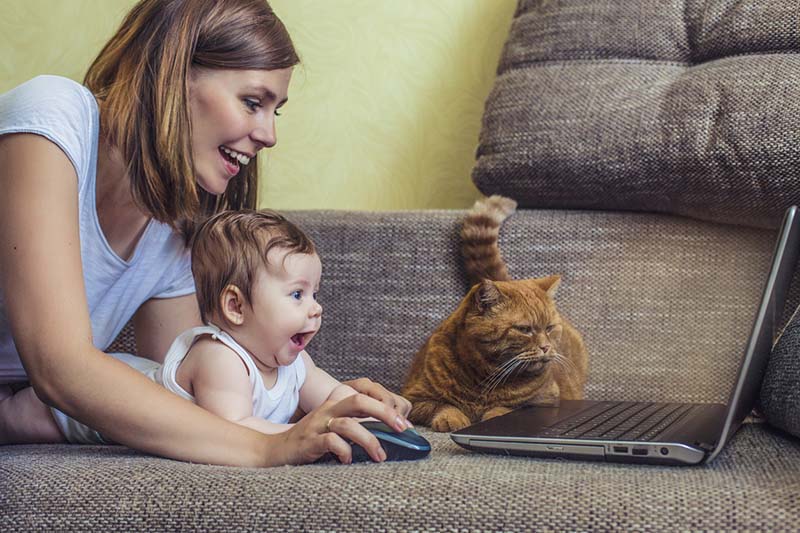 Nainen, tietokone, kissa ja vauva