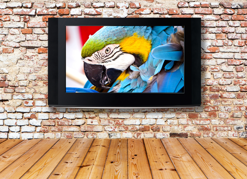 Televisio