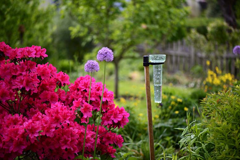 Kaatosade kastelee puutarhan