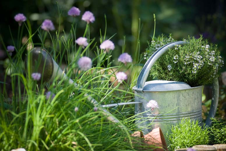 Kulutusluotto 10 000 euroa – mitä maksaa?