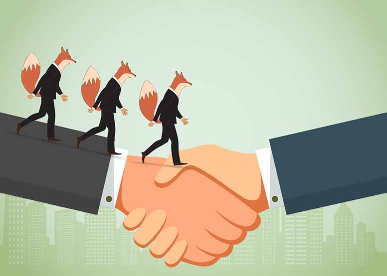 Kolme kettua kävelyllä ja huijaus