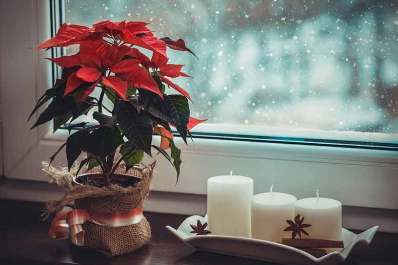 Joulutähti ja kynttilät ikkunalaudalla