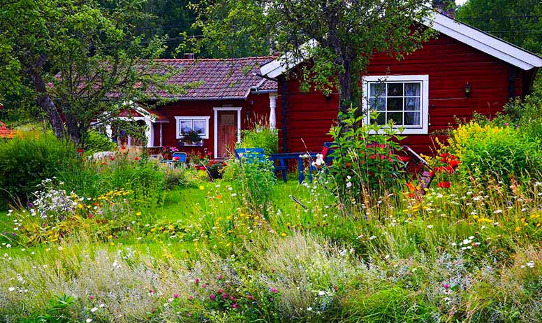 Kesämökki ja kesäinen puutarha