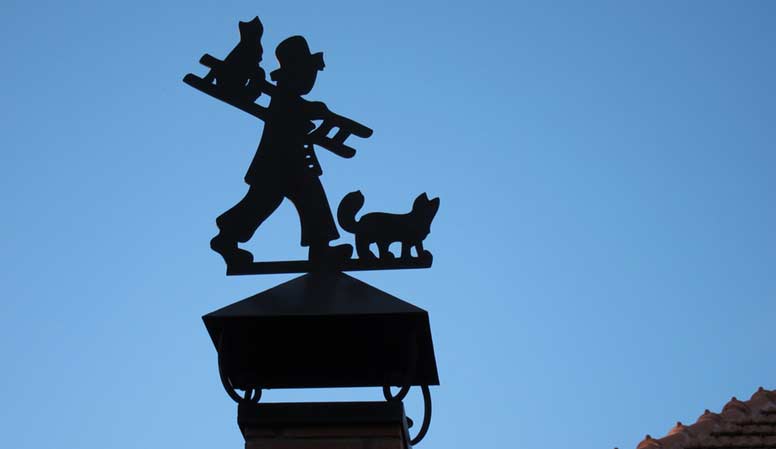 Nokikolari ja kissa kiipeävät katolla