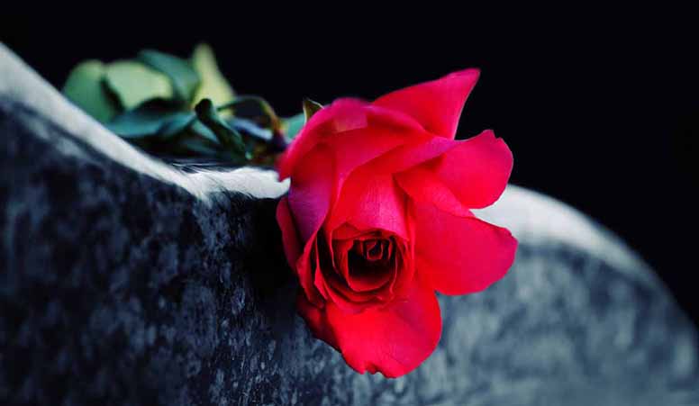Punainen ruusu ja hautakivi