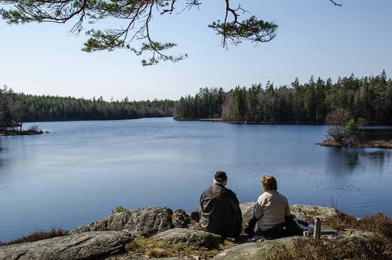 Retkellä metsässä