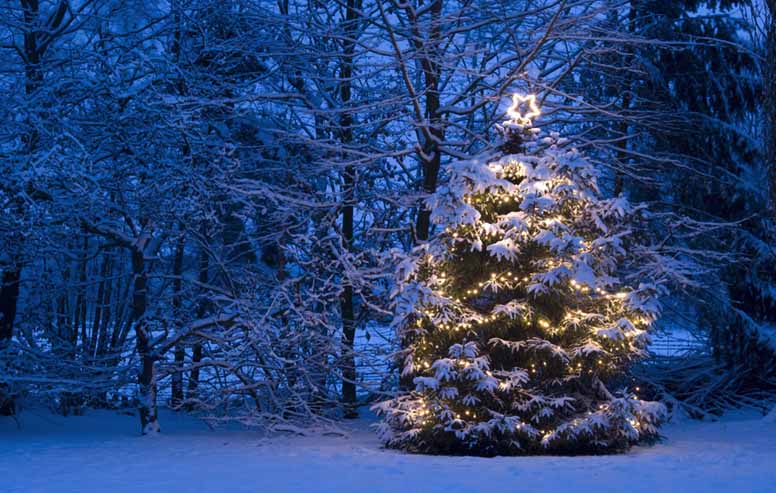 Jouluvalot tuikkivat – rikkinäinen valosarja voi sytyttää tulipalon