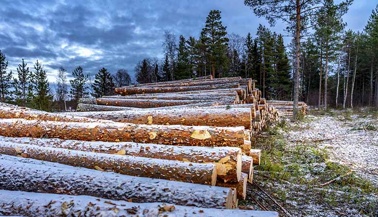 Maa- ja metsätalouden veroilmoituslomakkeita ei saa enää postitse kotiin