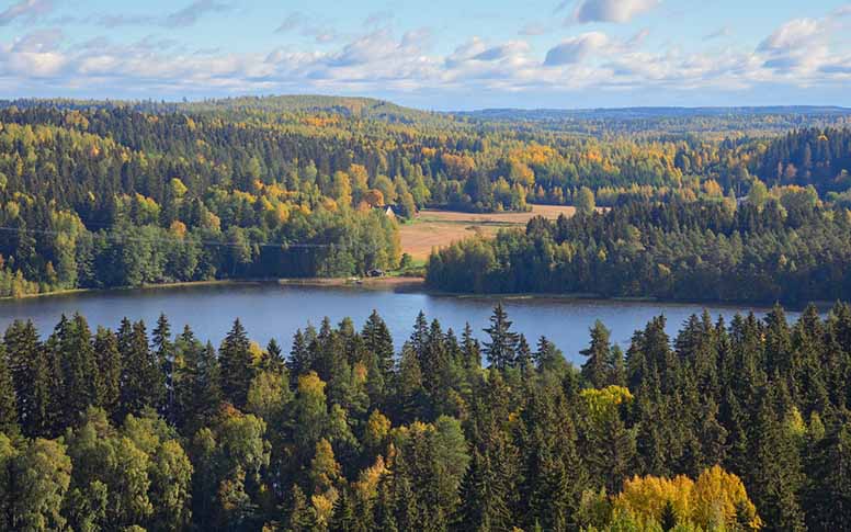 Syksyinen metsämaisema Aulangolla