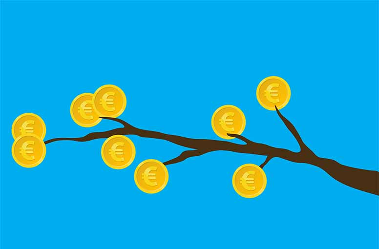 Eurokolikoita, oksa, puu