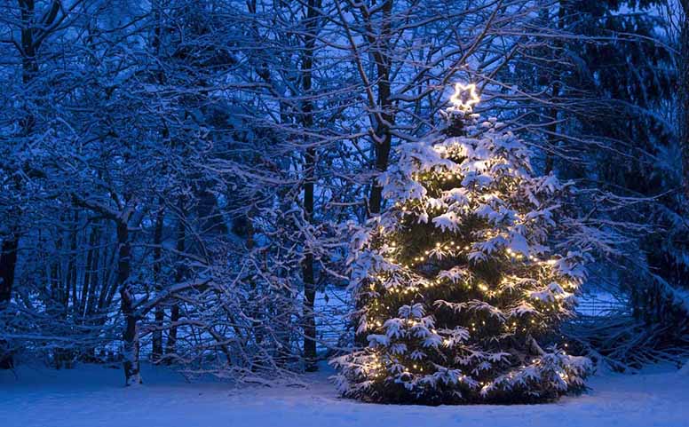 Tarkista jouluvalojesi kunto ennen käyttöä – rikkinäinen valosarja on paloriski