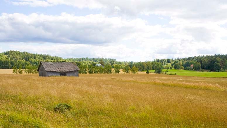 Purkukuntoinen rakennus maaseudulla, pelto