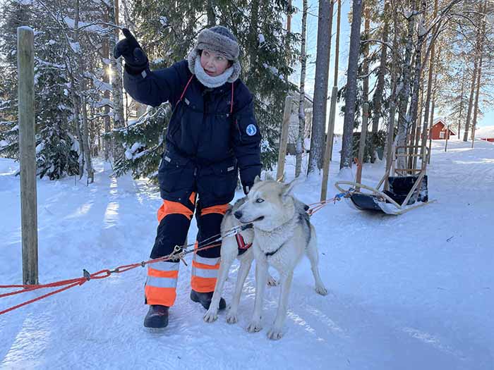 Korvalan Kestikievarin Jaana Näsi vetää huskysafareita ja esittelee retken jälkeen myös koiratarhan elämää. Kuva: Matti Remes