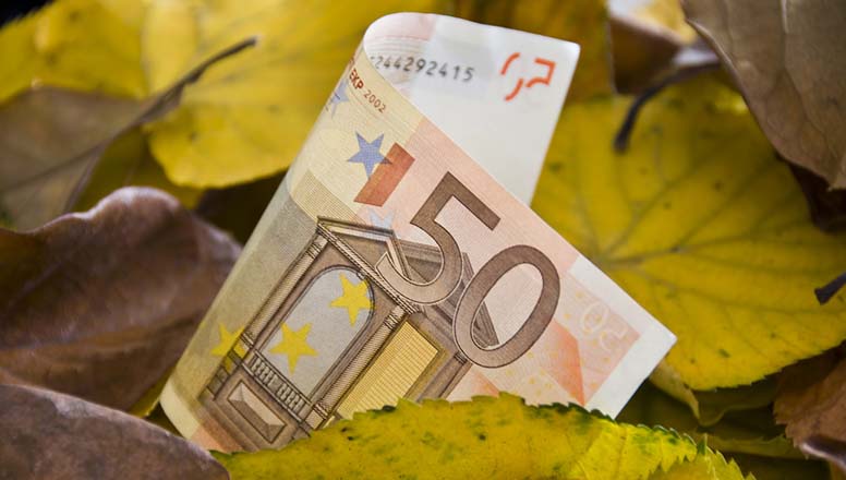 Euroseteli ja keltaisia lehtiä