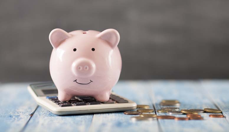 Säästöpossu ja laskin