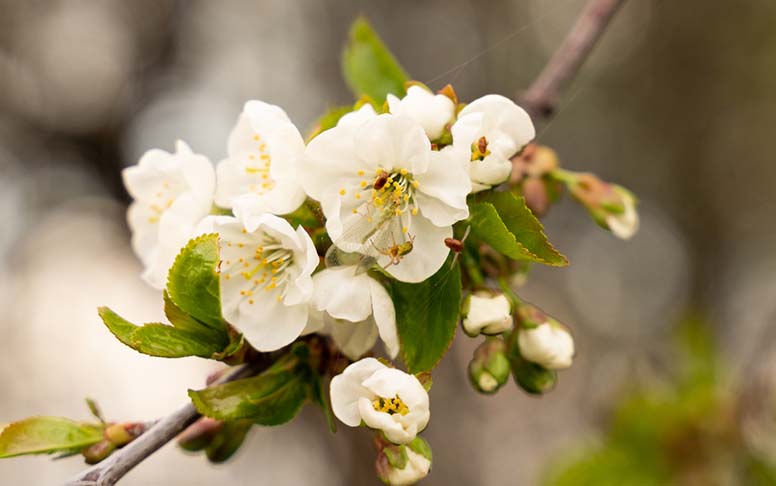 Sell in May? Salkunhoitajat ynnäävät tuloskauden ja asettavat kesän askelmerkit