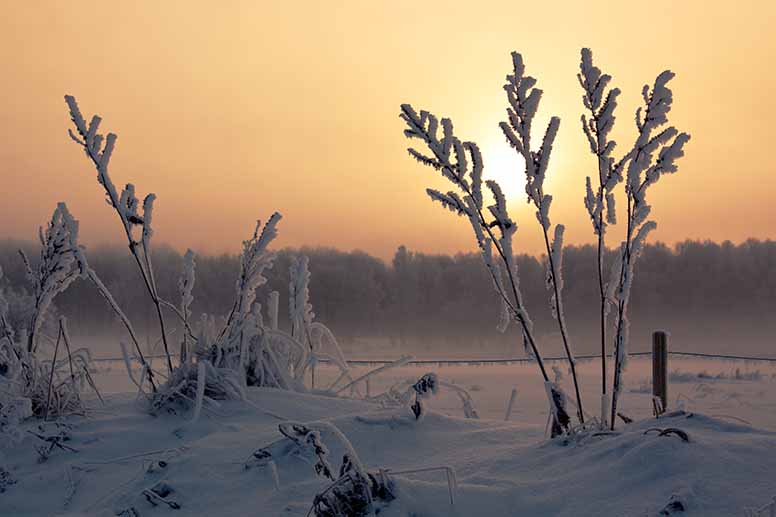 Osakerahastojen kolmen vuoden parhaat hyvässä vedossa