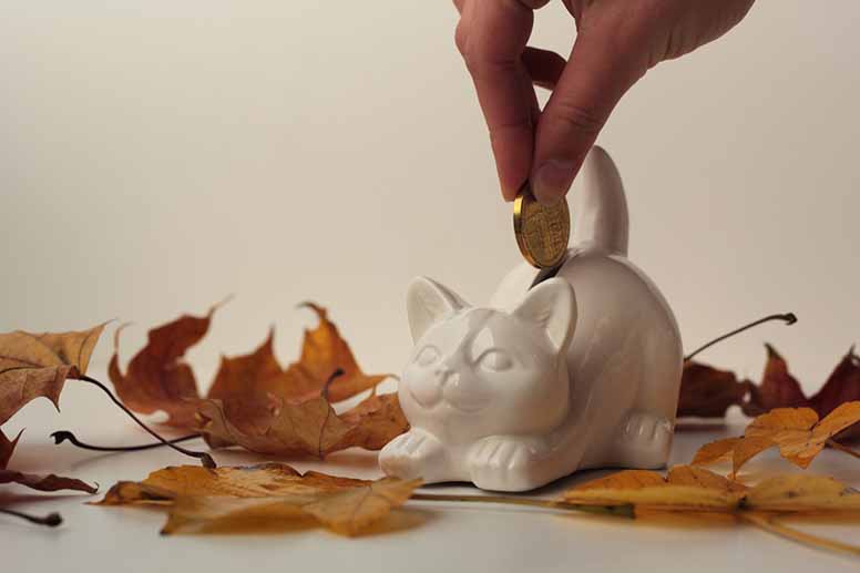 Säästökissapossu, kolikoita ja keltaisia vaahteranlehtiä